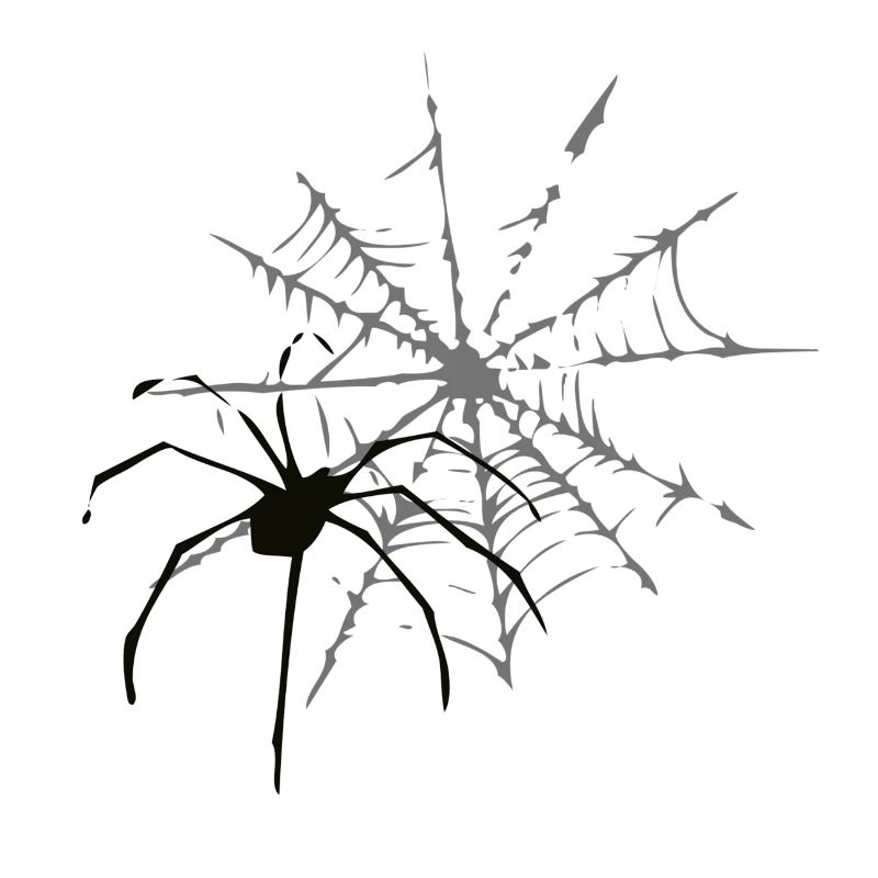 cobweb