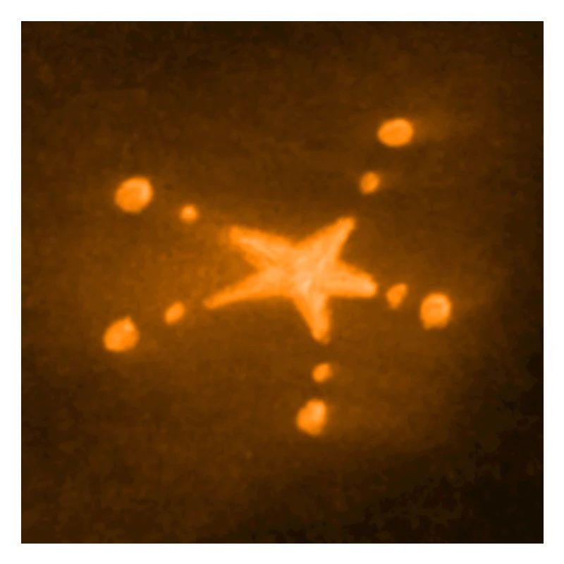 ORANGE STERN
