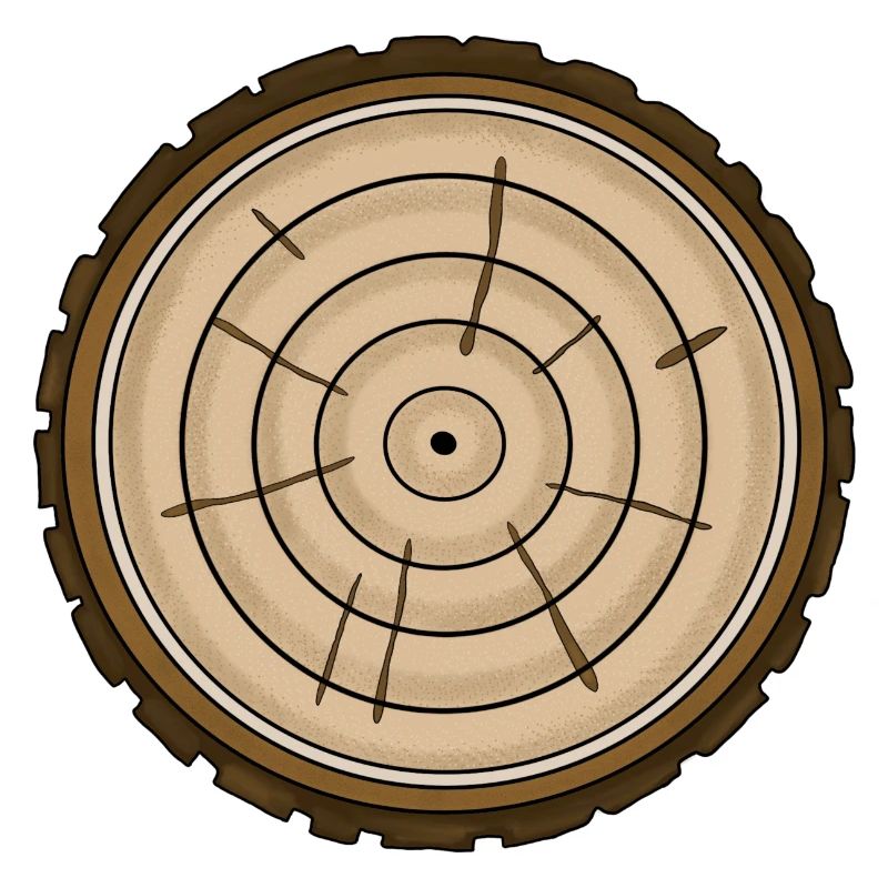 Baumscheibe