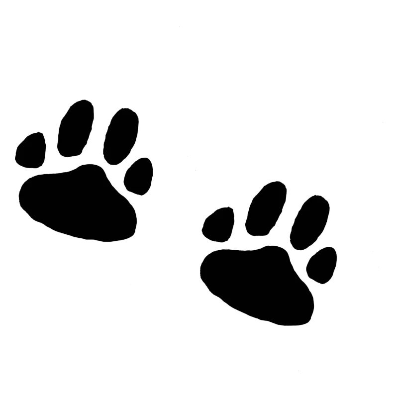 Paws