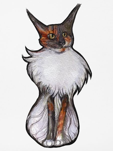 Verspieltes Calico-Katzenporträt