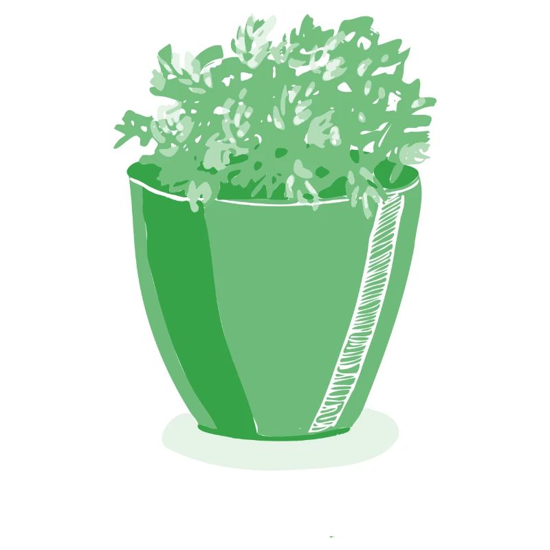 Grüne Vase