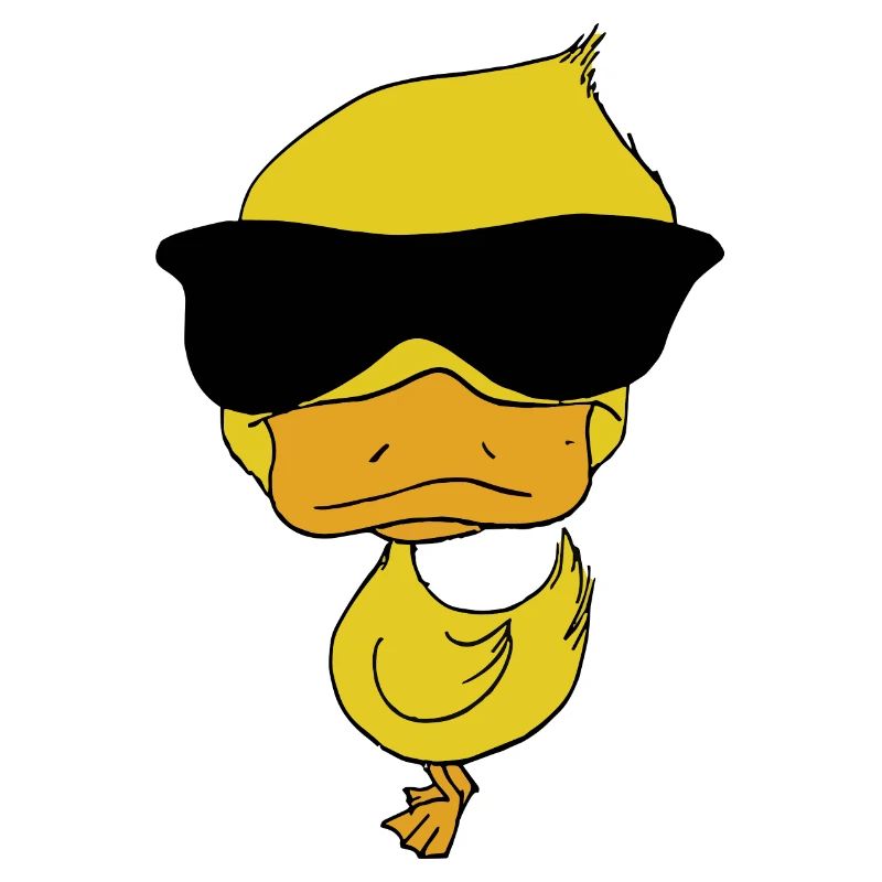 Cool Duck