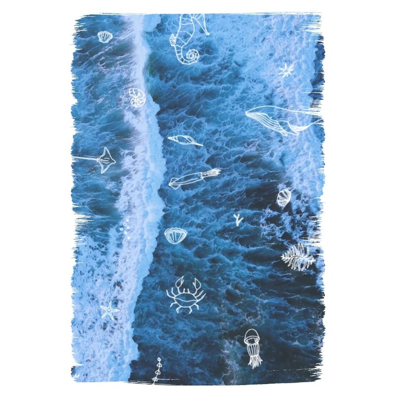 OCEAN - ANIMALS