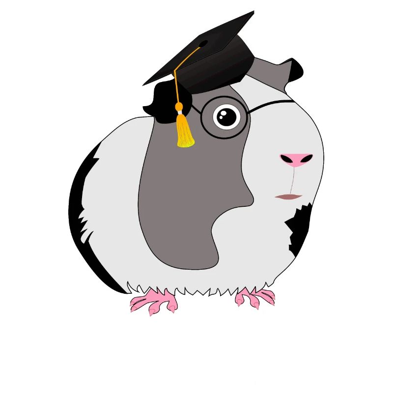 Professor Meerschweinchen