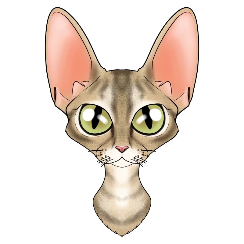 Cat Lover I Cat Face I Devon Rex Cat