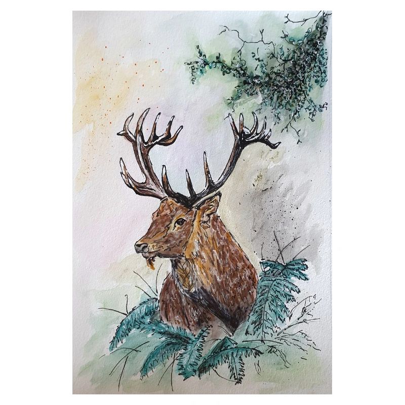 Hirsch Deer