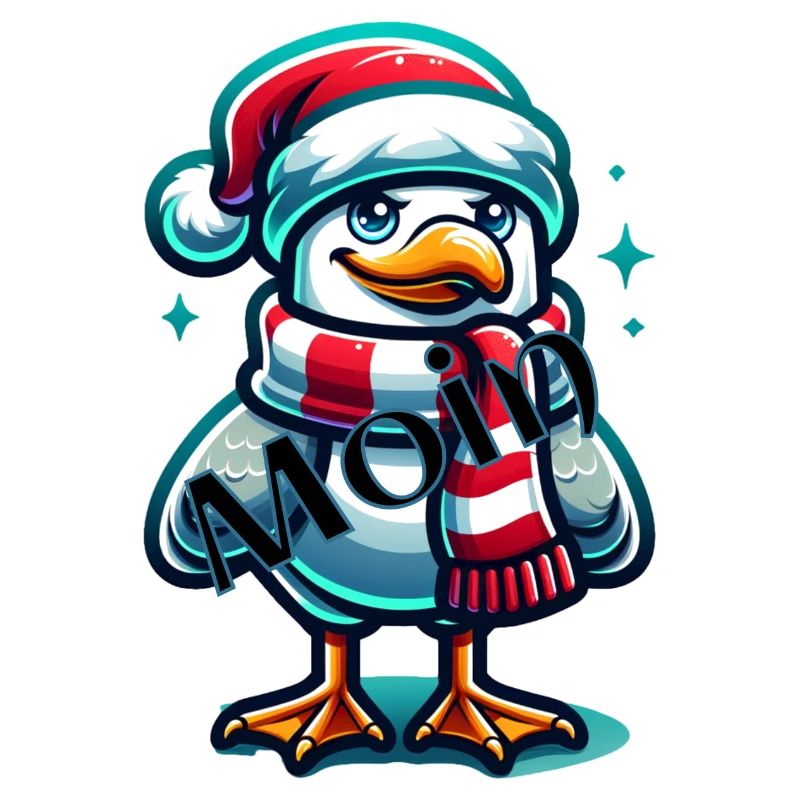 Moin Möwe Weihnachten