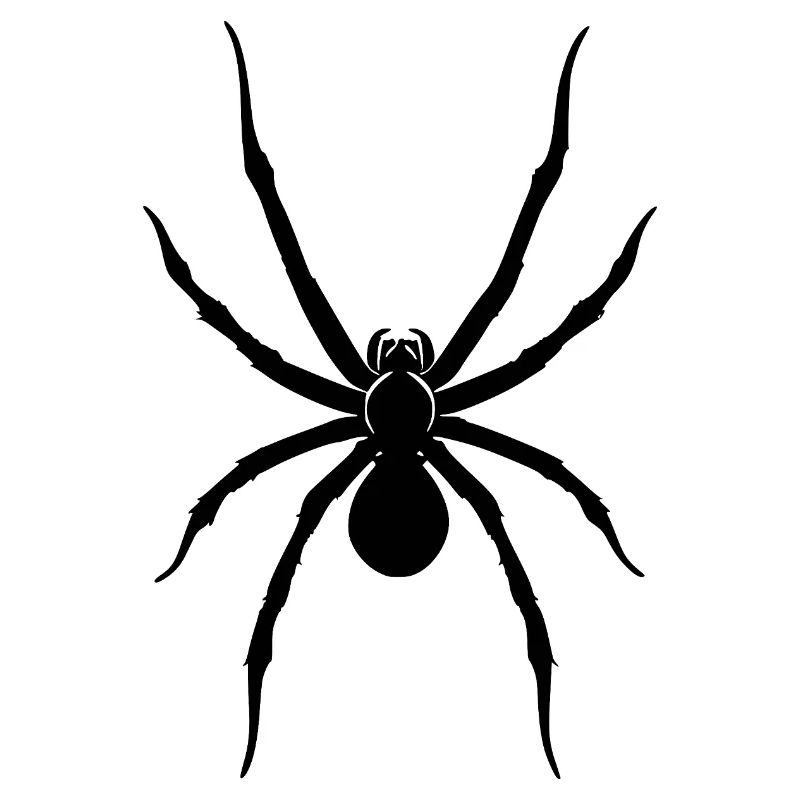 Spinne