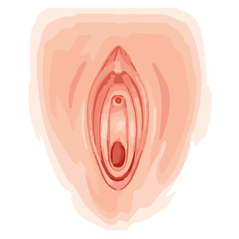 Vagina