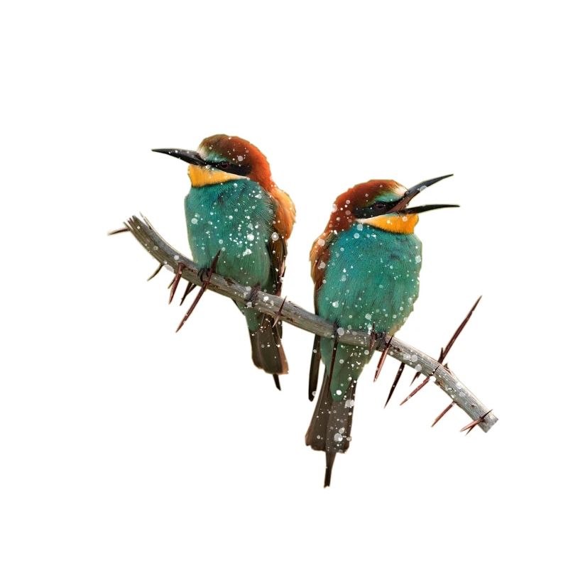 Winter Birds