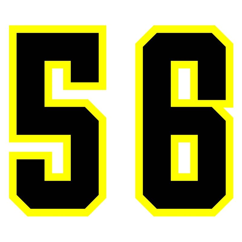 56 Number Leotard