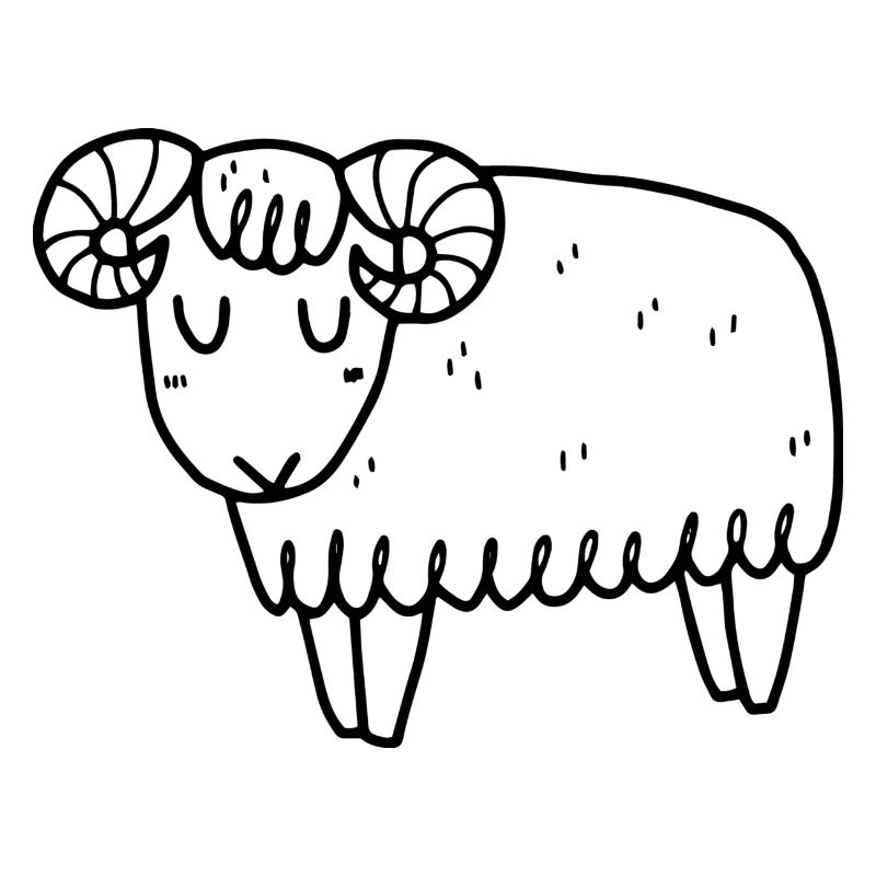 Schaf Islandschaf Widder Mufflon Schafbock