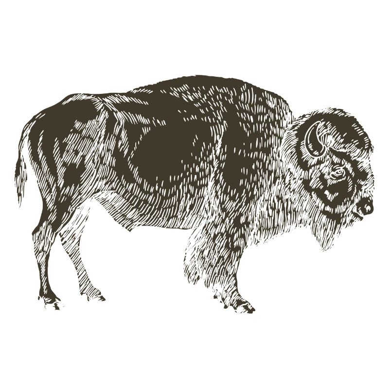 Wildtiere