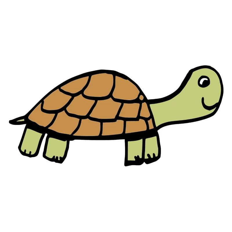 Schildkröte