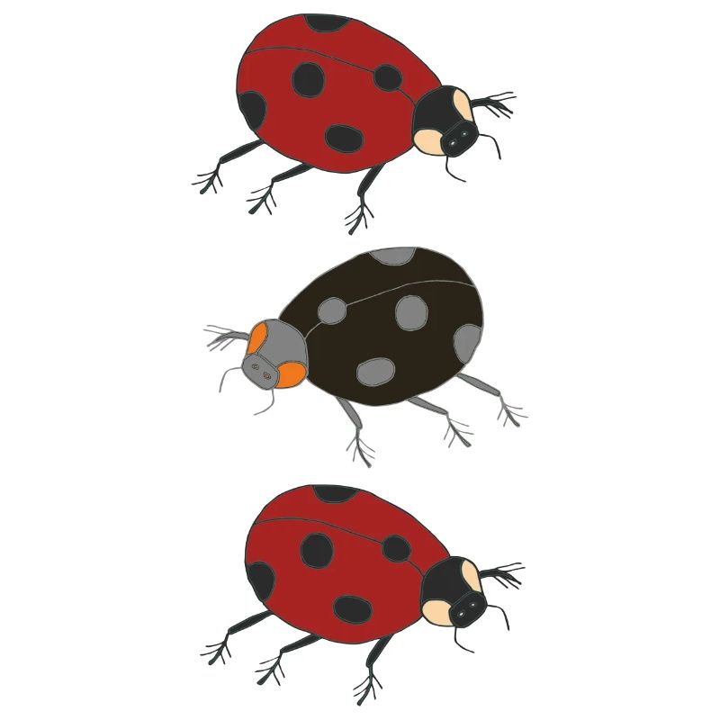 ladybug trio