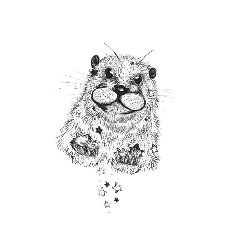 Sternenstaub Otter