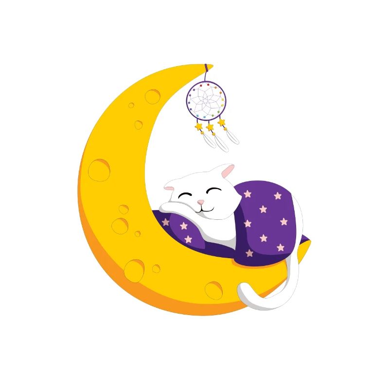 Schlafende Katze Mond