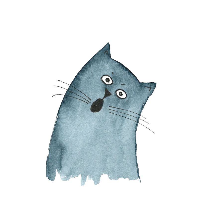 Cat grey