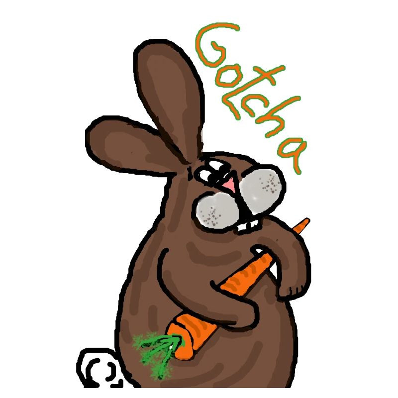 Hase