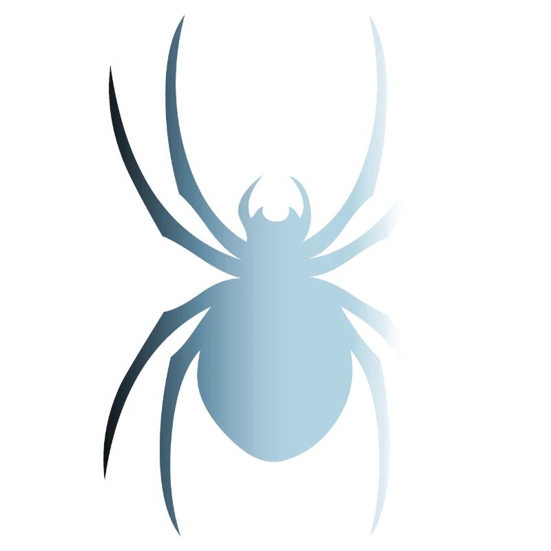 Spinne
