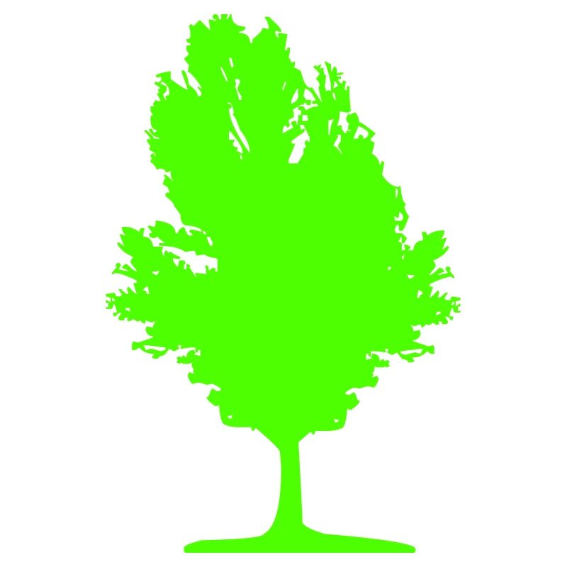 Tree 01