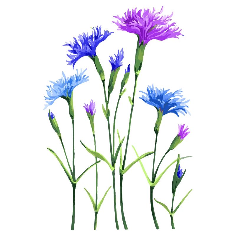 Blumen