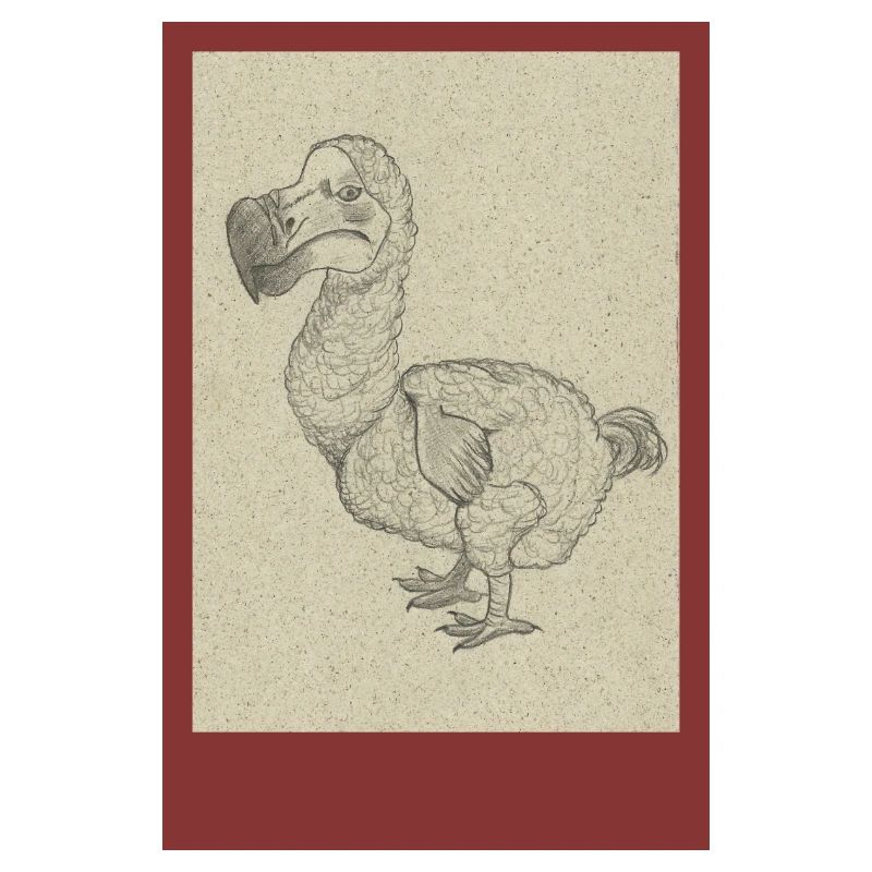 240527 Dodo 2