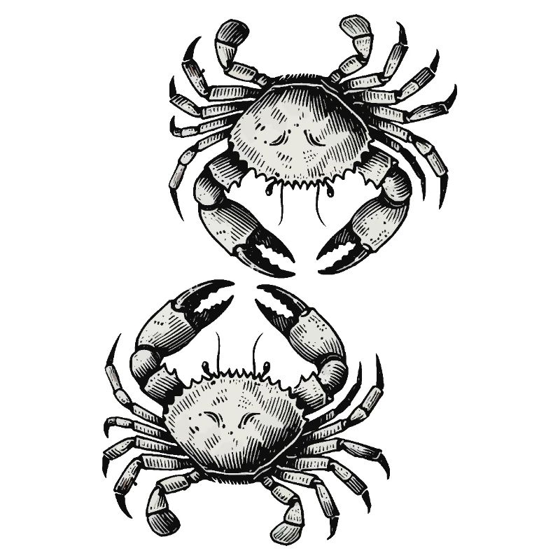 Krebs Krabbe