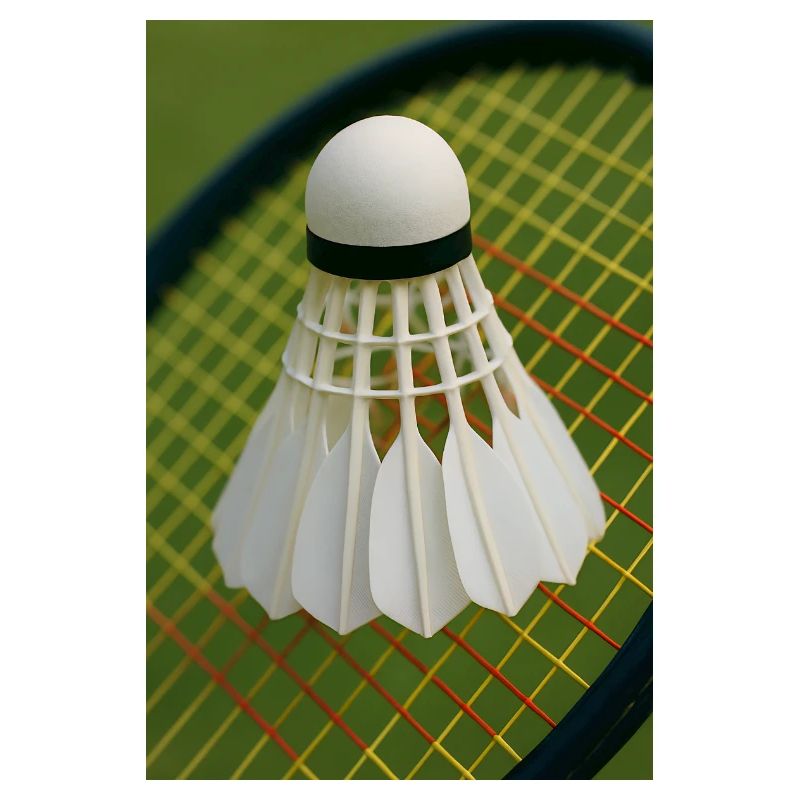 Sportarten - Badminton