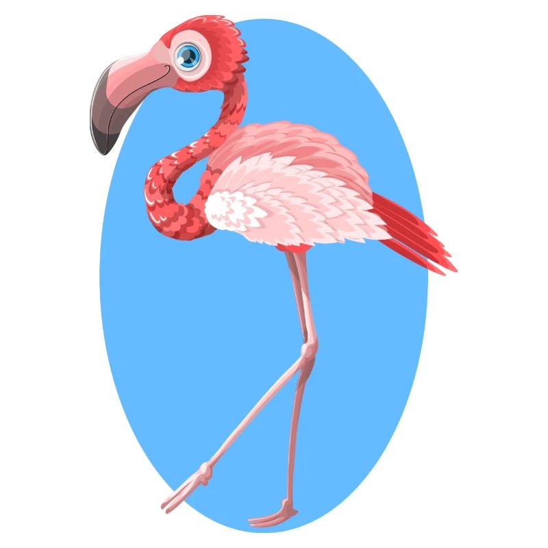 flamingo