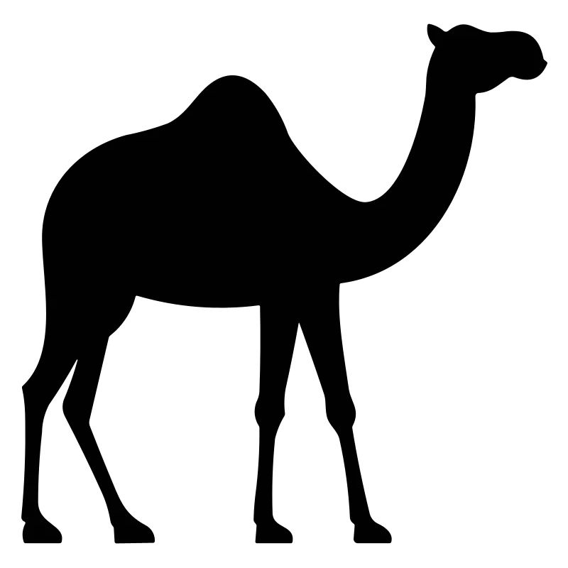 Camel