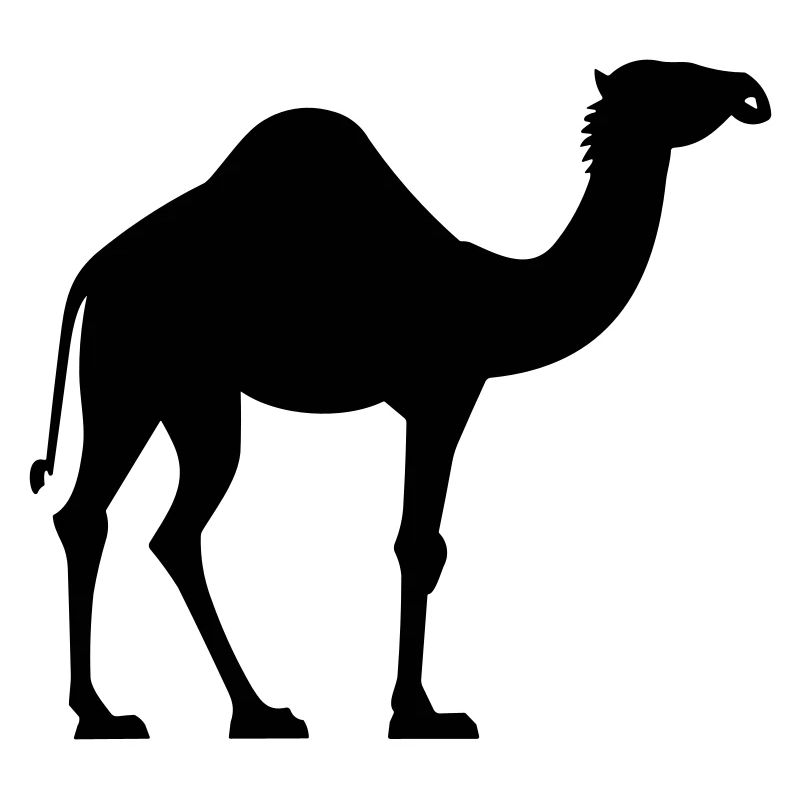 Camel
