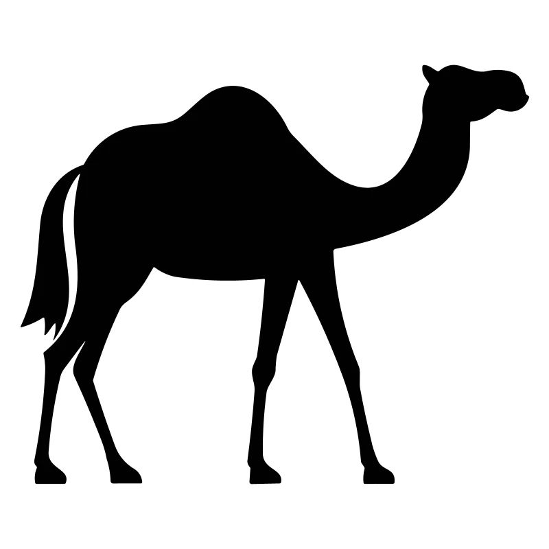 Camel