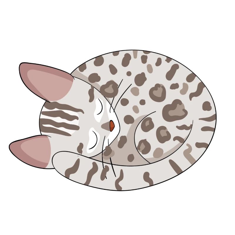Bengal Kätzchen Katze