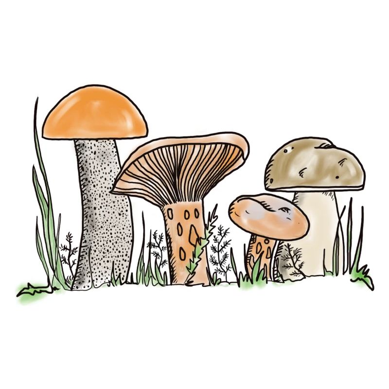 Mushrooms