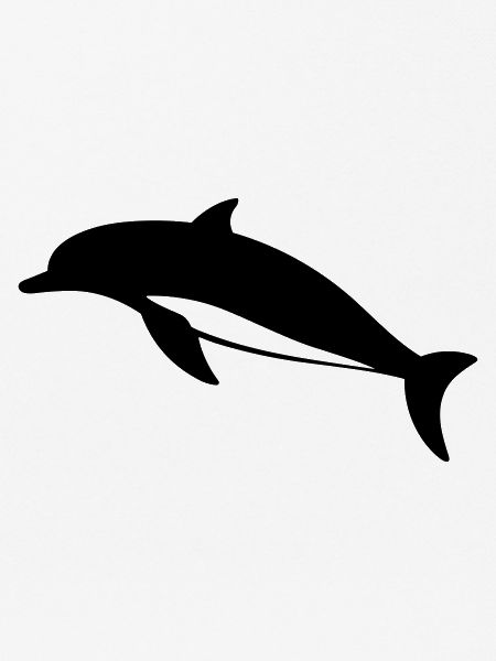 Dolphin