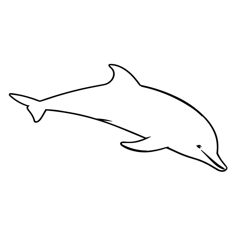 Delfin