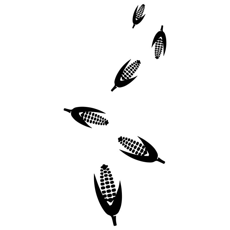 Corn symbol