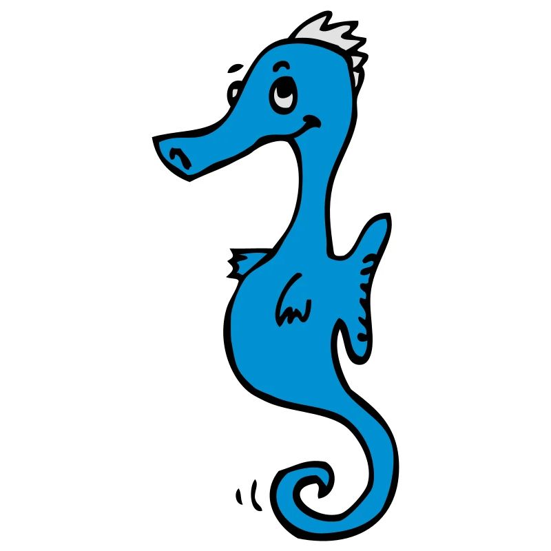 Zeepaardje