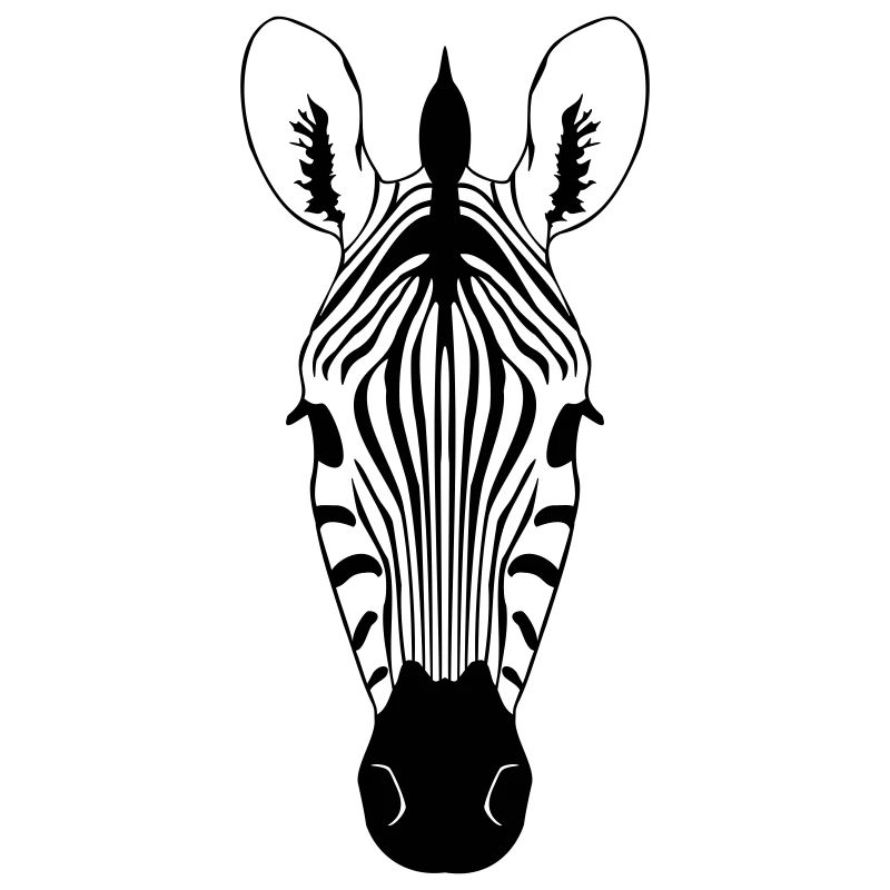 Zebra Illustration