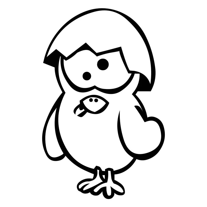 Crazy Chick