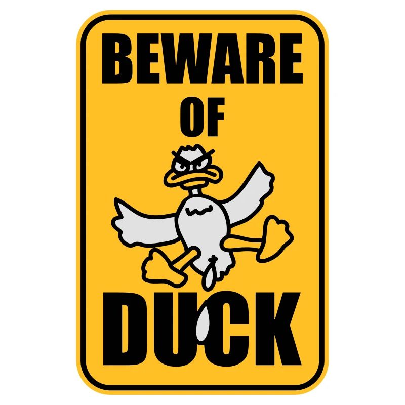 Beware Of Duck