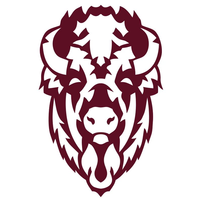 Bison bärtier