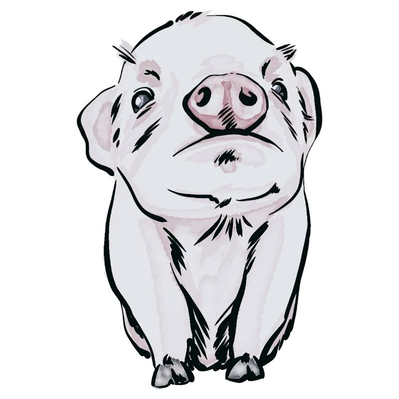 Baby Schwein