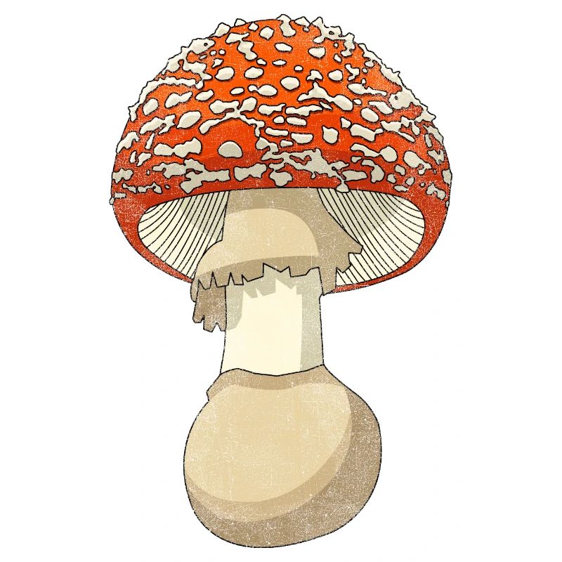 Pilz
