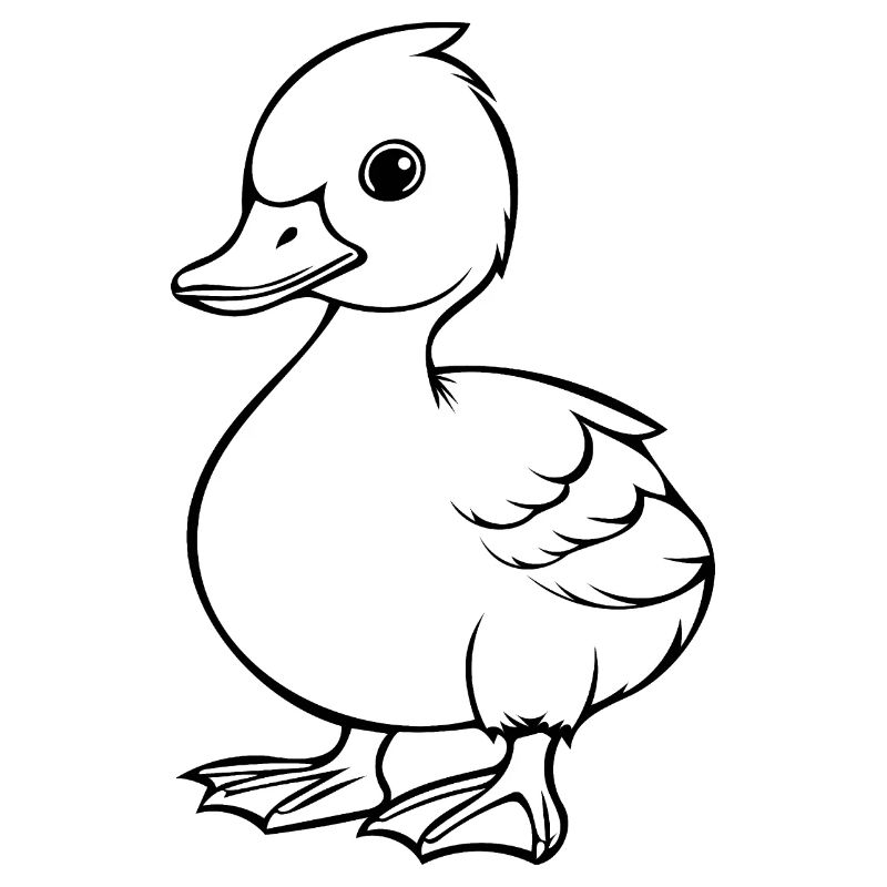 Ente Vögel Enten