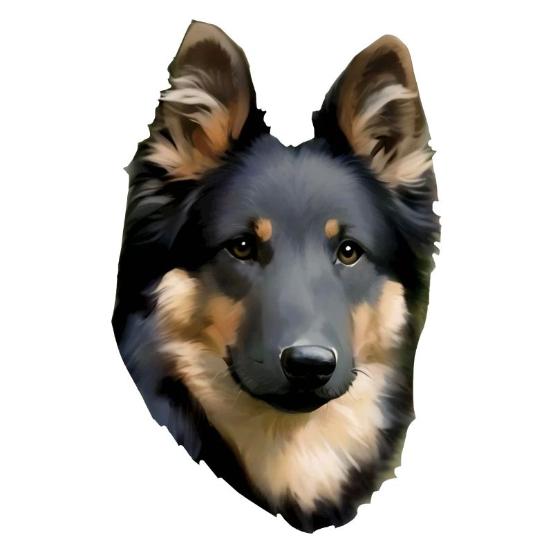 Böhmischer Schäferhund chodsky