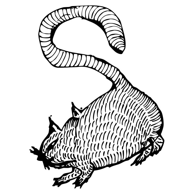 Goga suchende Katze