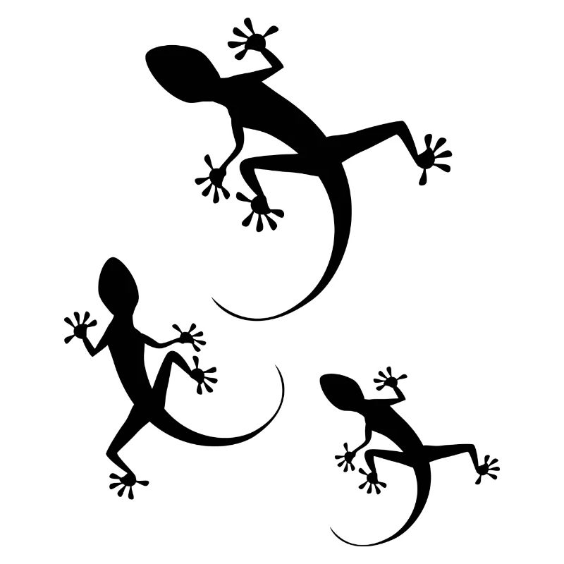 Geko